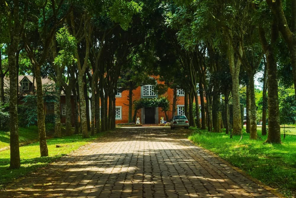 Garage door services in North Billerica